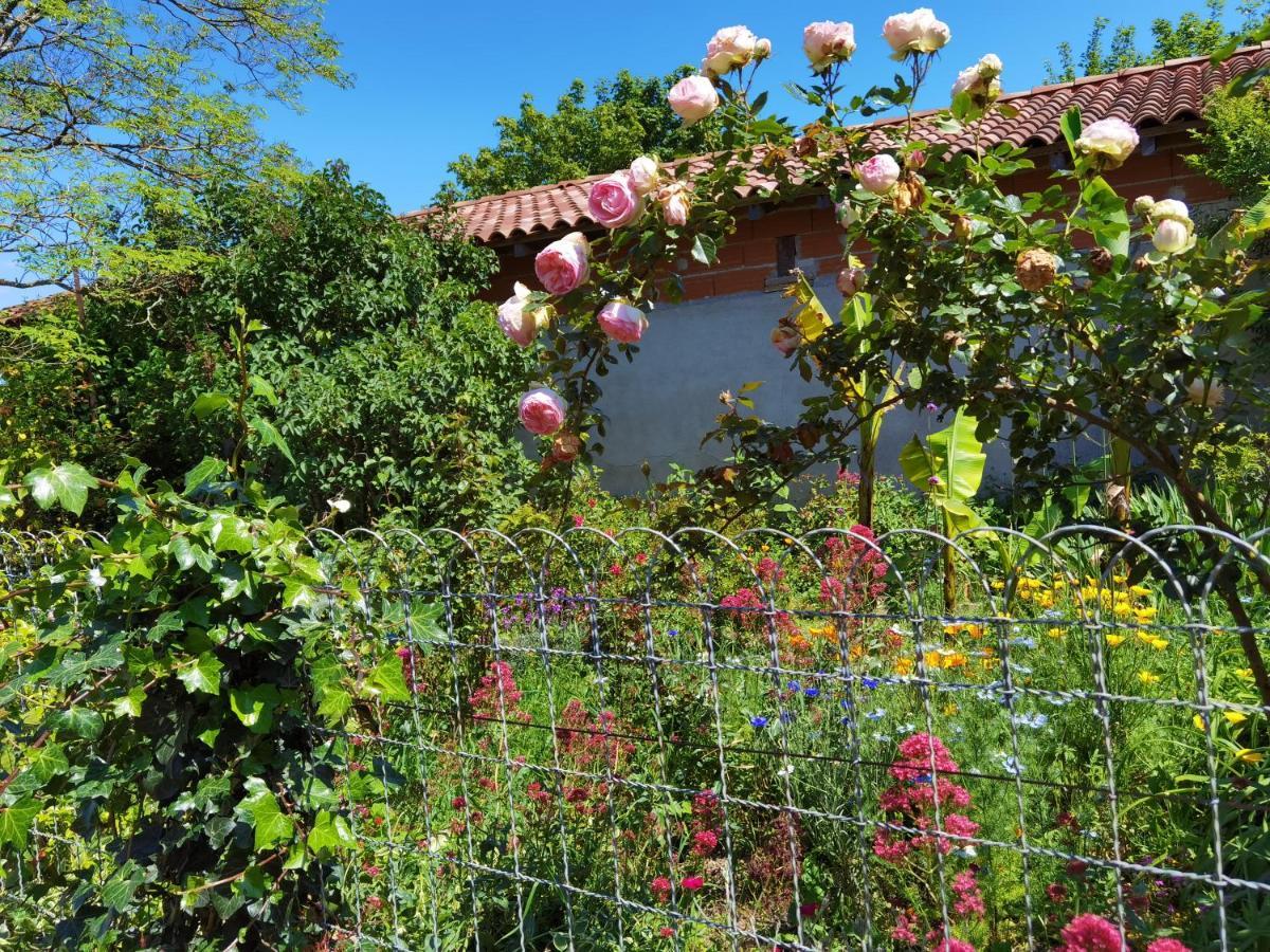 Les Hauts De Grazac, Chambres Et Tables D'Hotes Grazac  Exterior photo